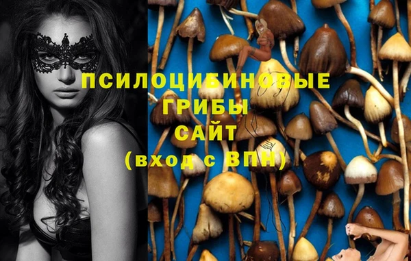 apvp Володарск