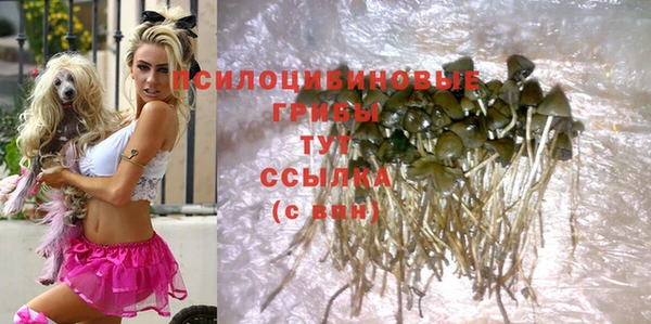 шишки Волоколамск