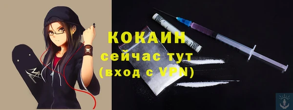 apvp Володарск