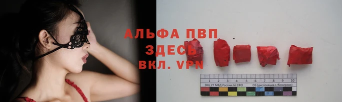 шишки Волоколамск