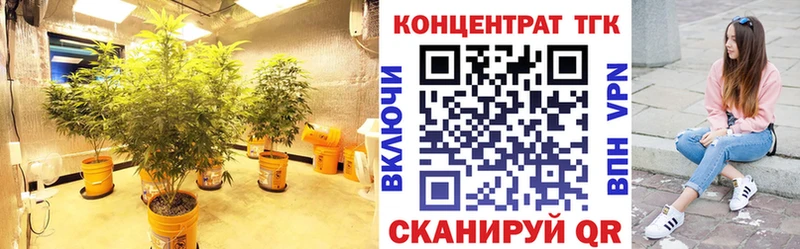 наркота  дарк нет какой сайт  ТГК Wax  Мещовск 