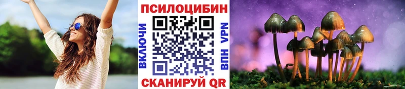 Псилоцибиновые грибы мухоморы Мещовск